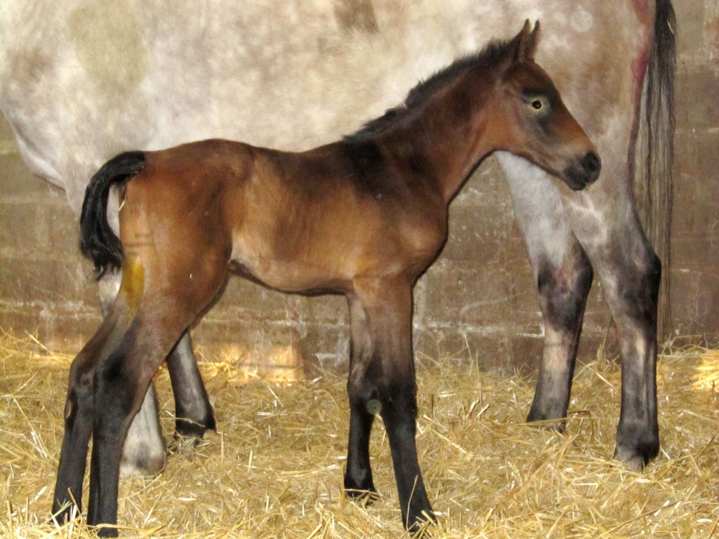 âgé de 2h à peine