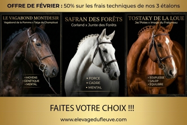 Promo de février sur nos 3 étalons!!!!!