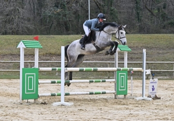Smashing du Fleuve Z