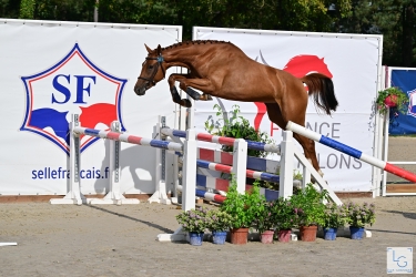 Moonwalker du Fleuve