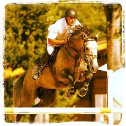 Safran des For&ecirc;ts